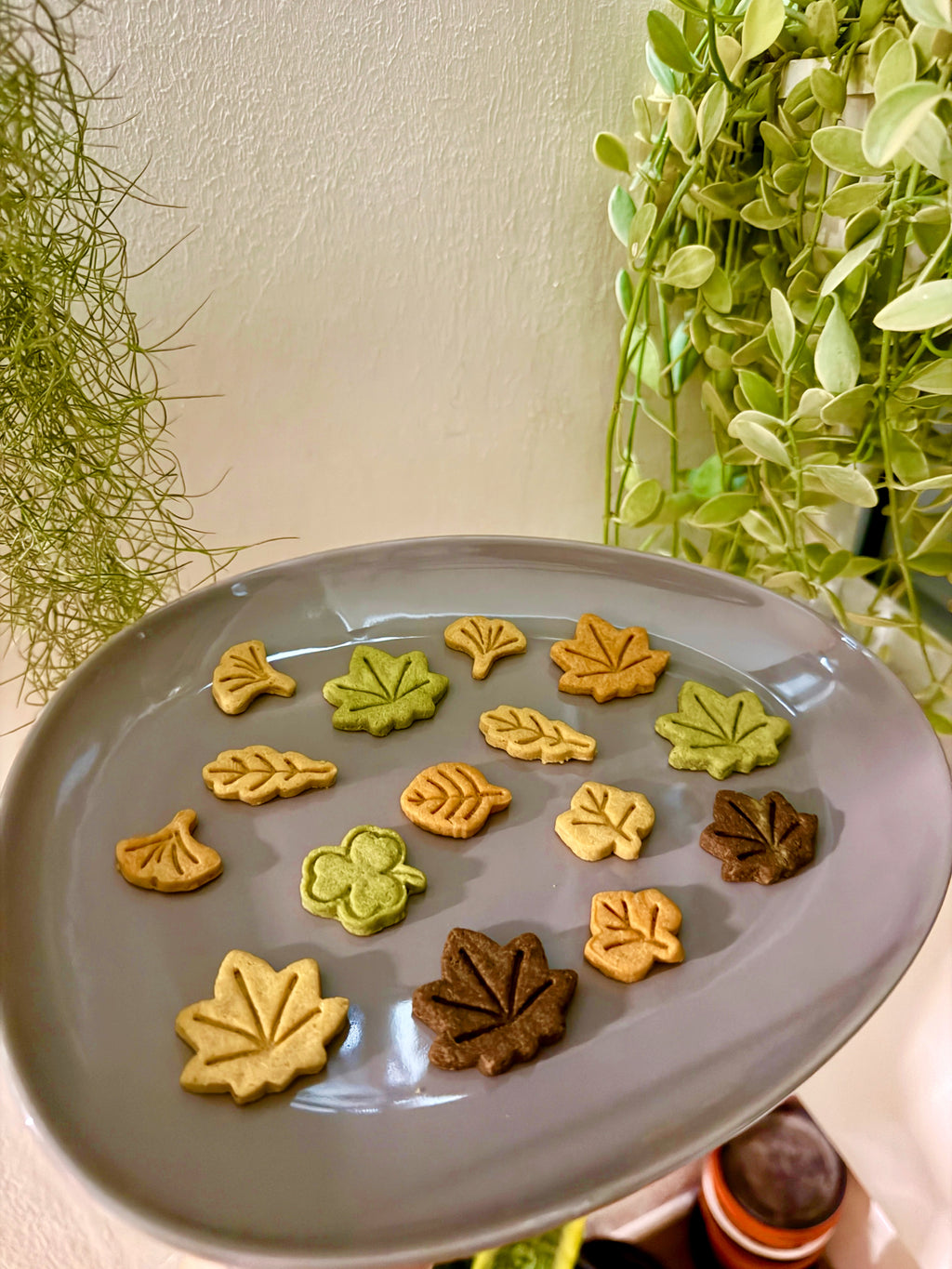 Autumn Garden