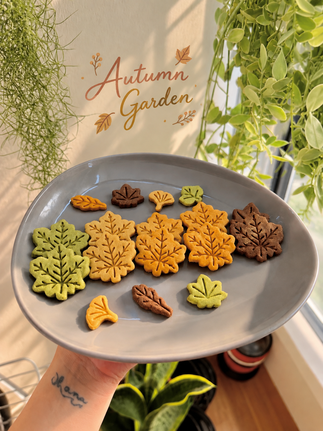 Autumn Garden
