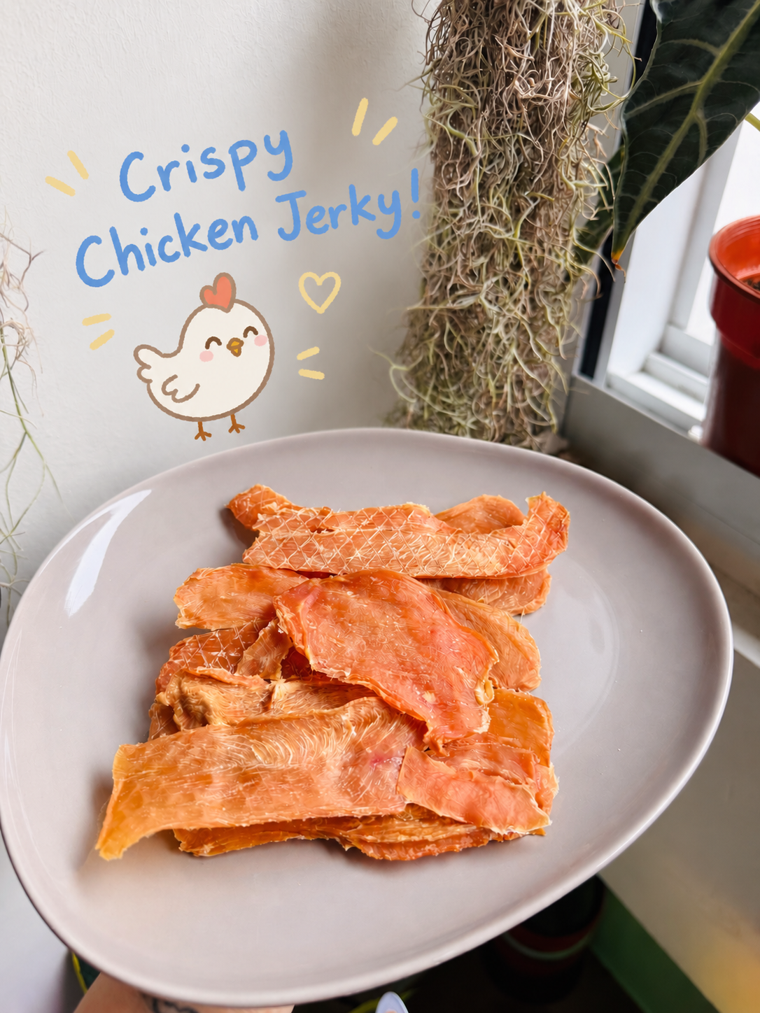 Crispy Chicken Jerky