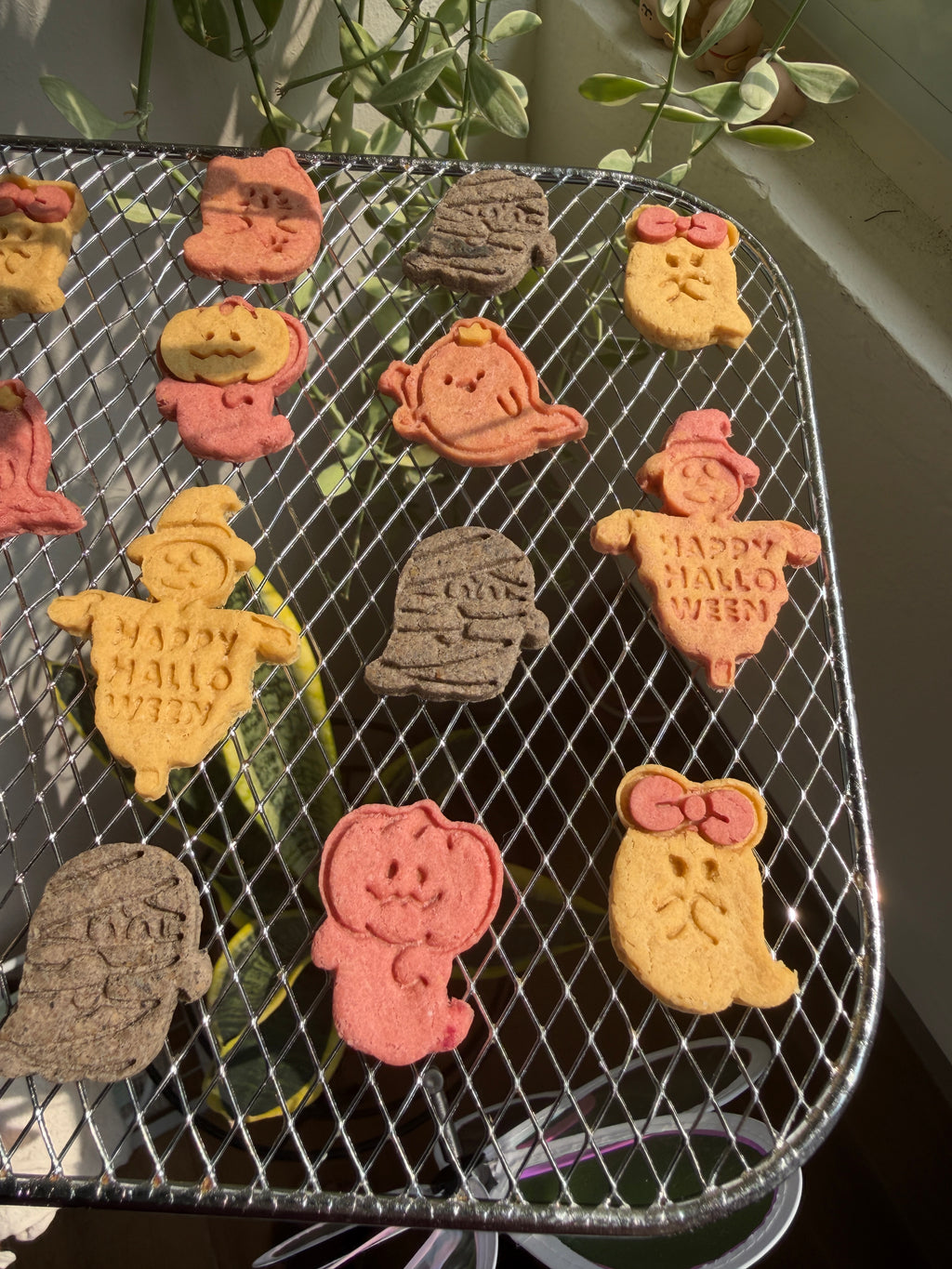 Spooky Little Friends