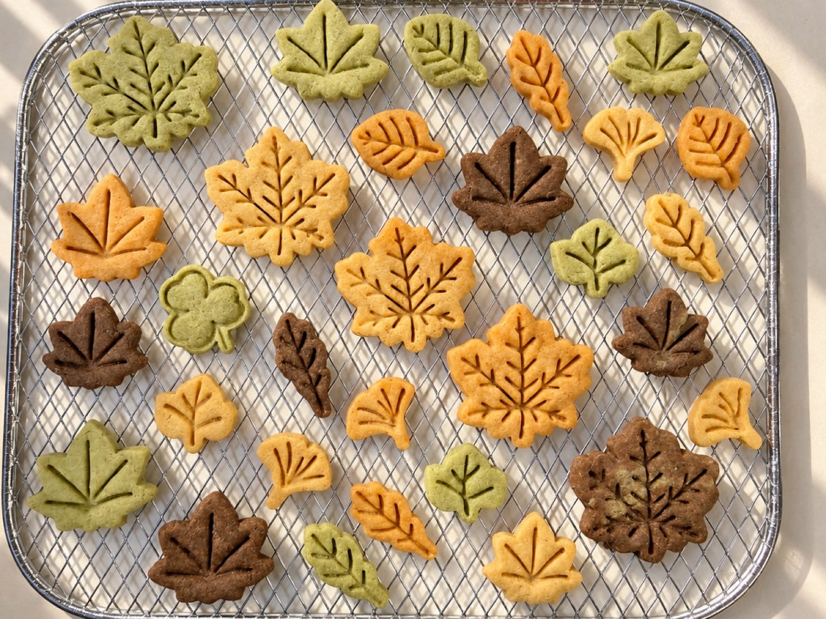 Autumn Garden
