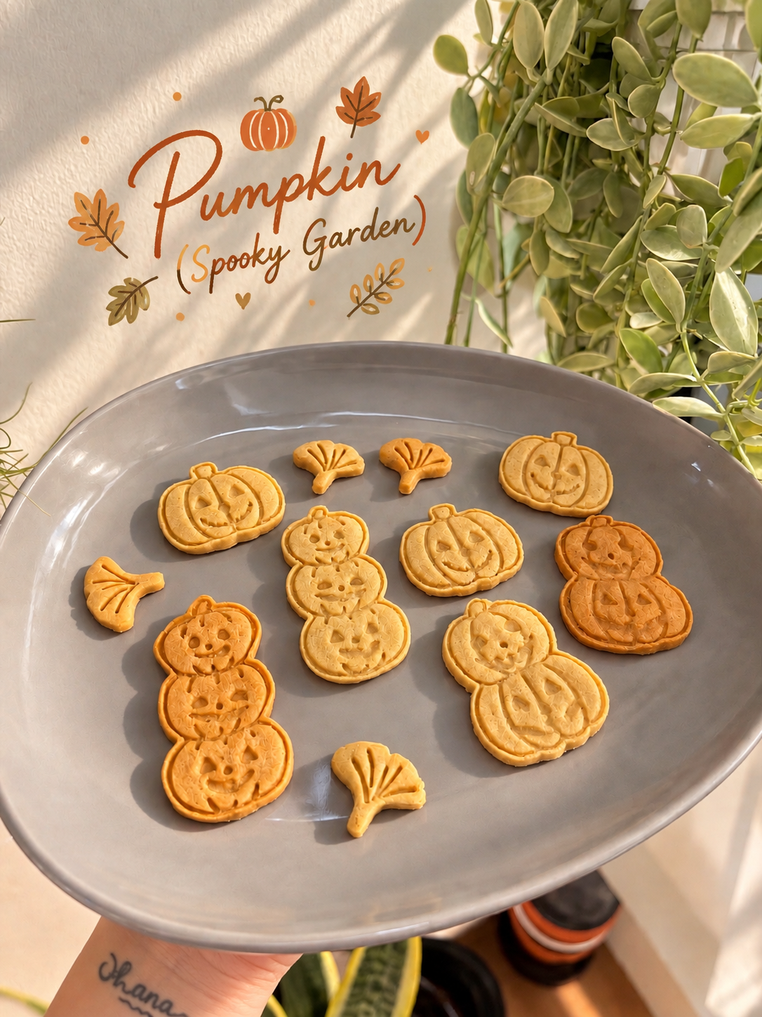 Pumpkin Spooky Garden