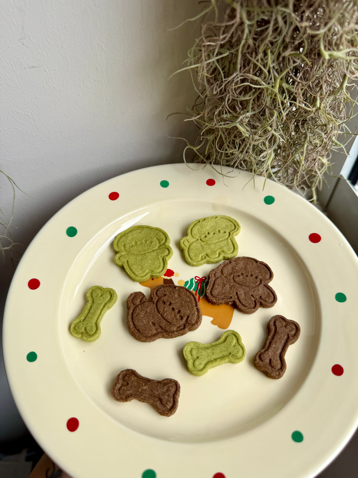 Bokki's Pals Cookies