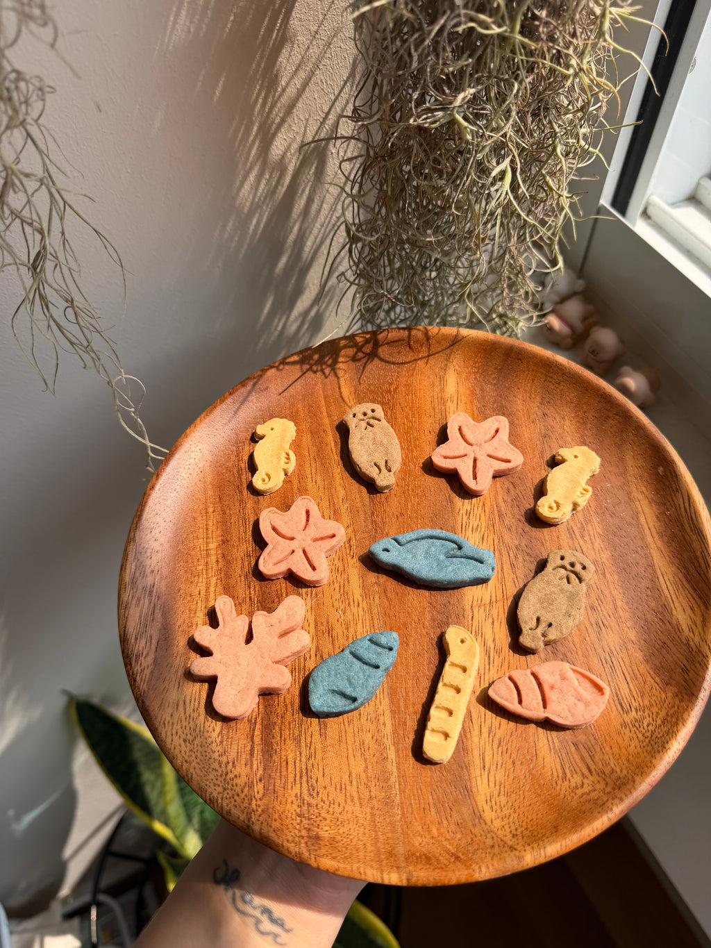 Bokki’s Little Beach Adventure — Collection 02: Little Ocean Pals 🐚🌊