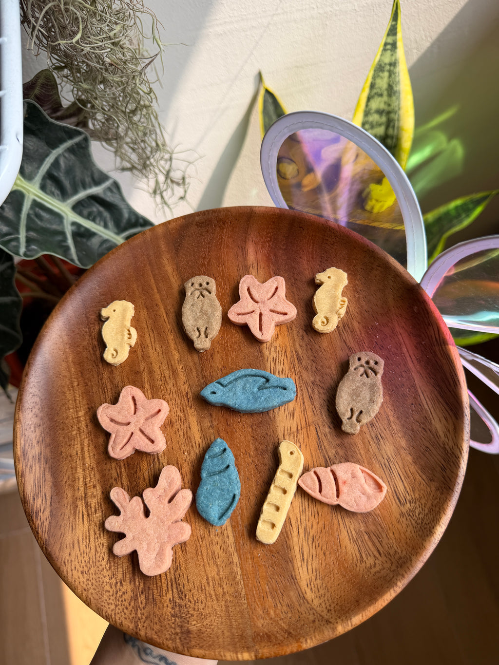 Bokki’s Little Beach Adventure — Collection 02: Little Ocean Pals 🐚🌊