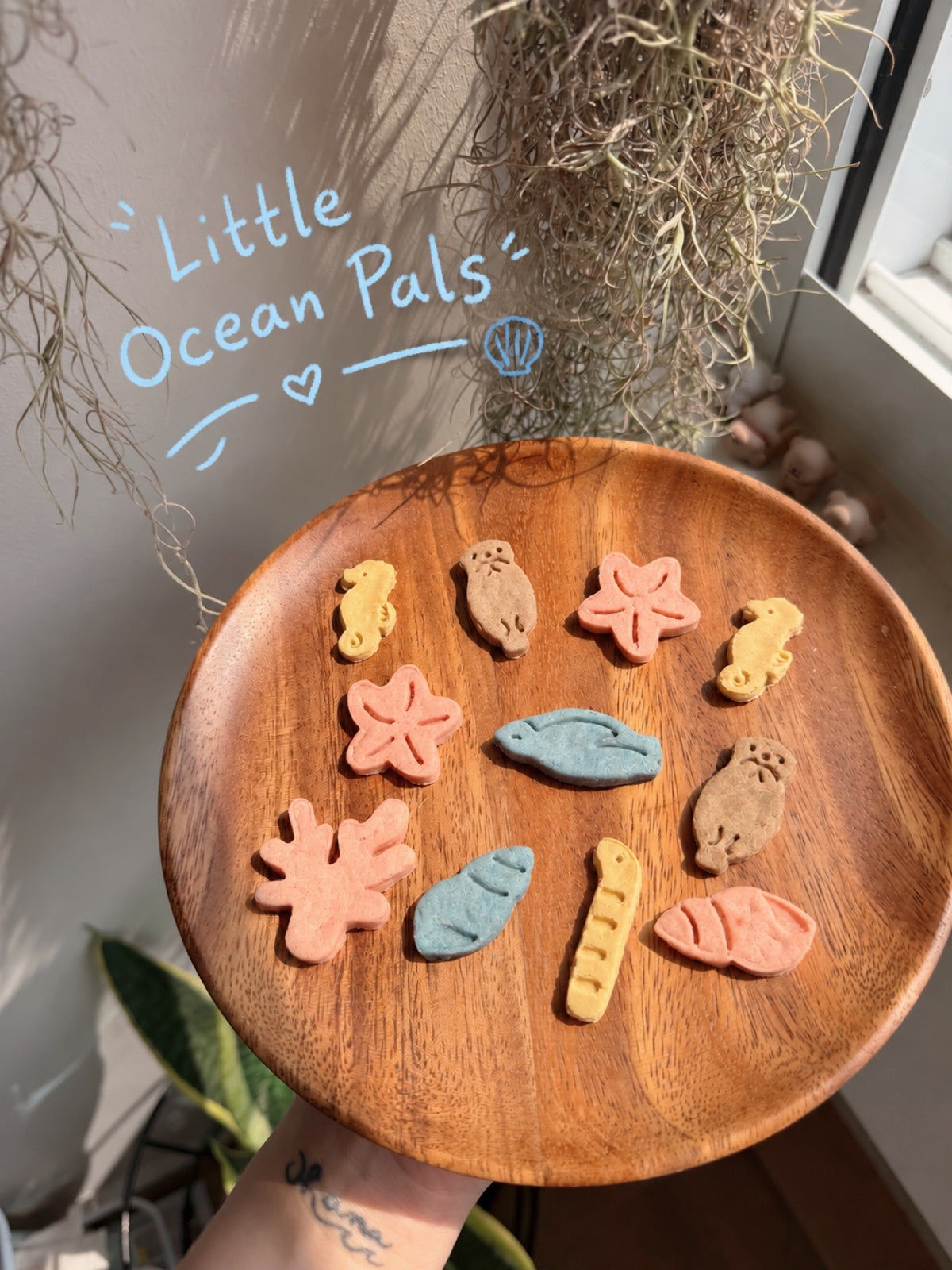 Bokki’s Little Beach Adventure — Collection 02: Little Ocean Pals 🐚🌊