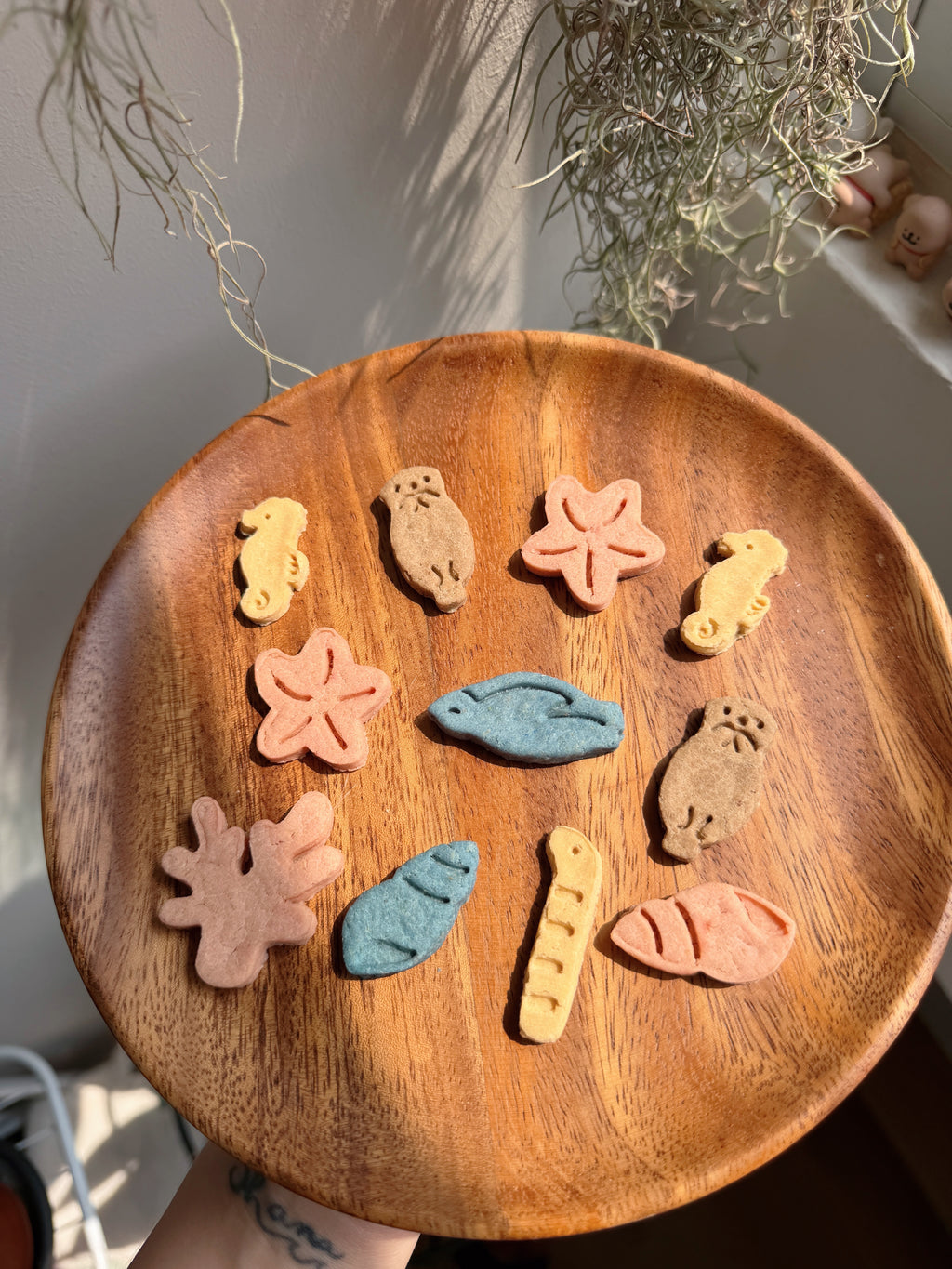 Bokki’s Little Beach Adventure — Collection 02: Little Ocean Pals 🐚🌊