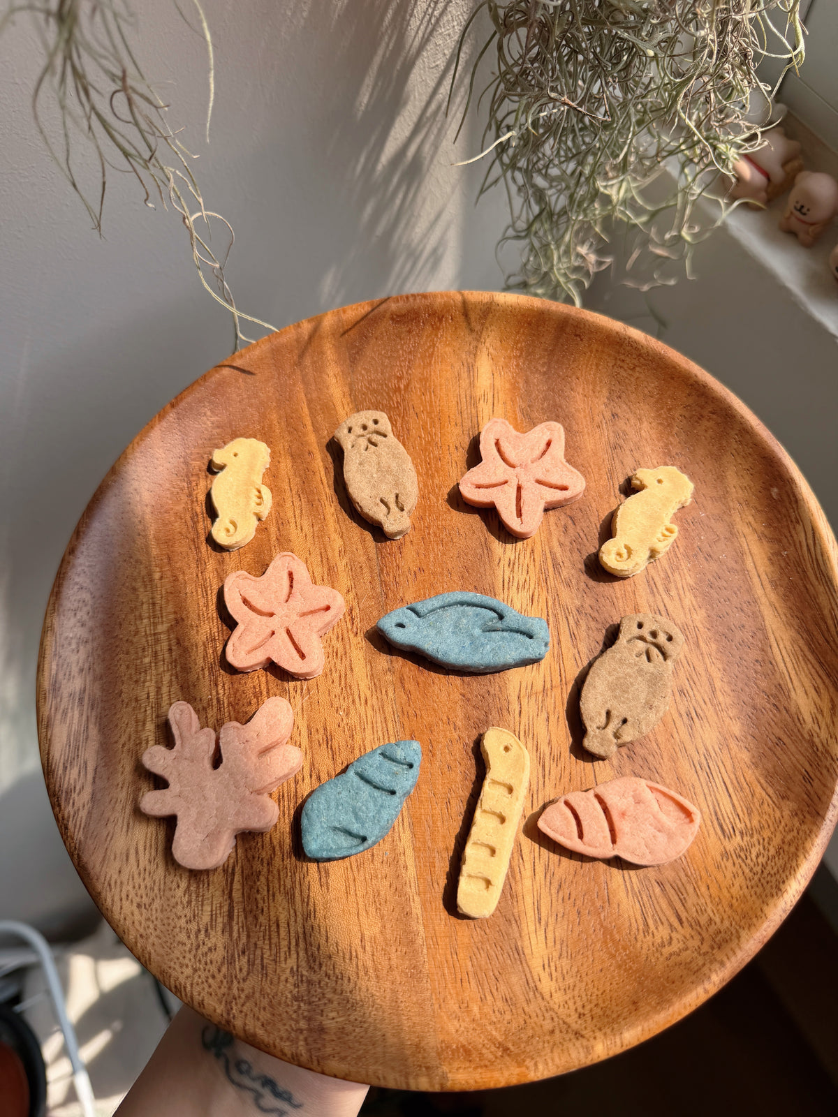 Bokki’s Little Beach Adventure — Collection 02: Little Ocean Pals 🐚🌊