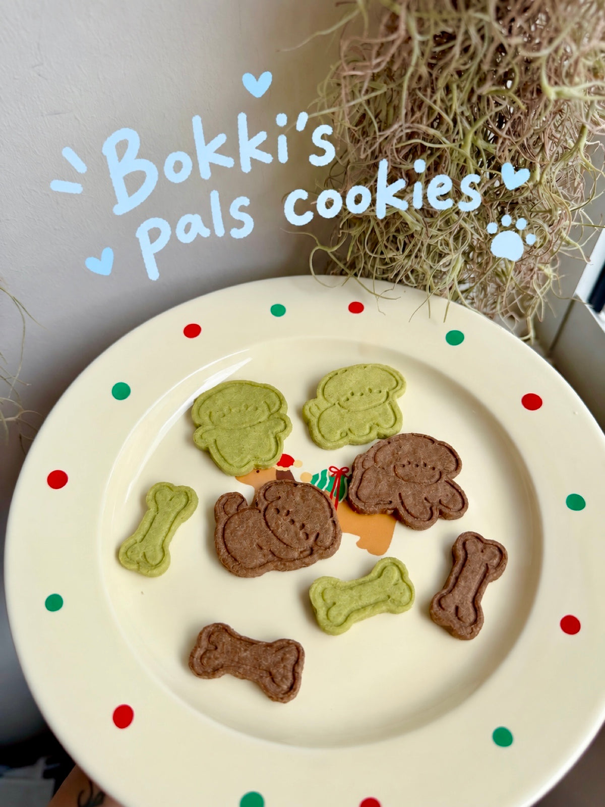 Bokki's Pals Cookies