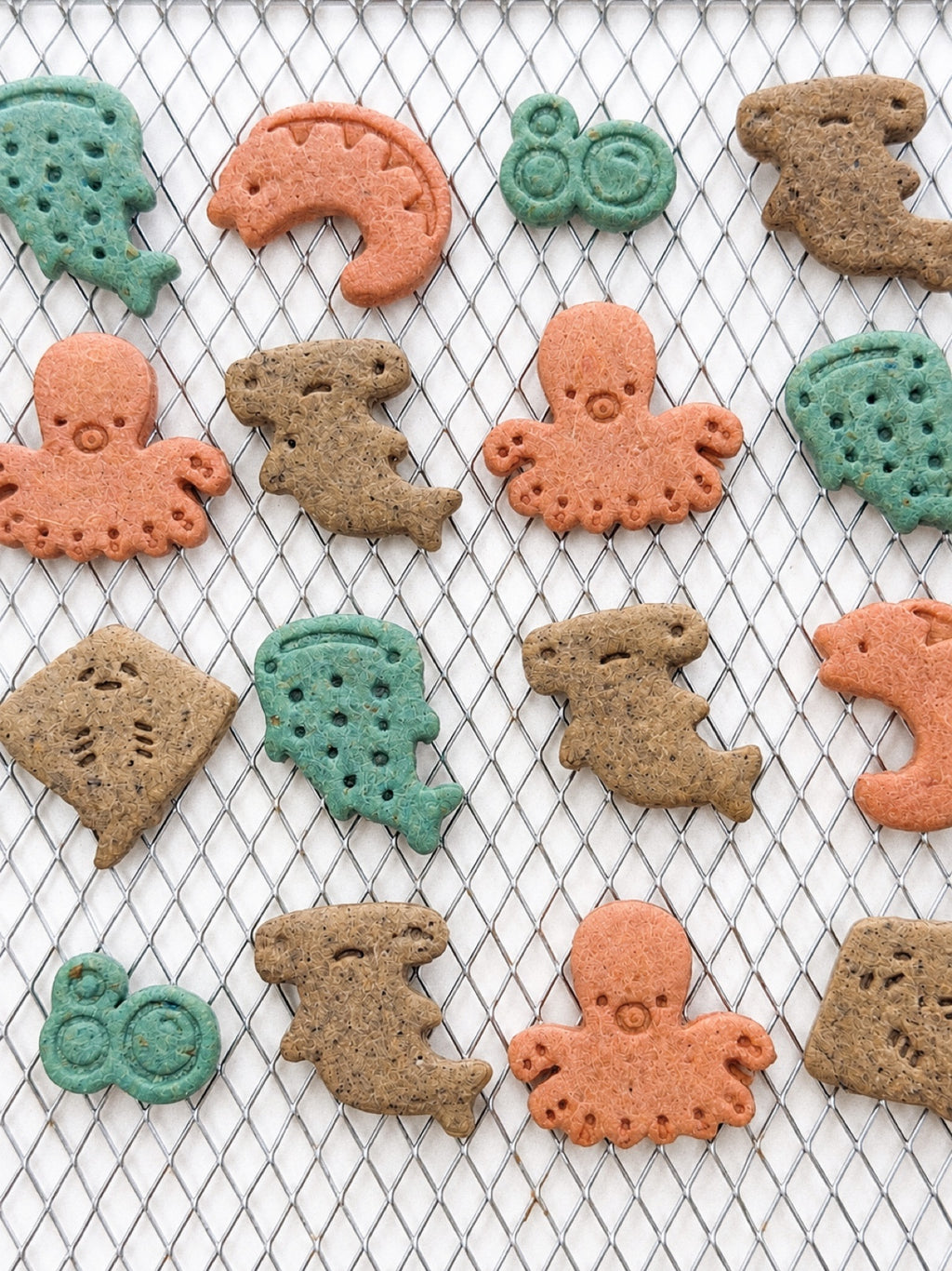 Bokki's Little Beach Adventure 🌊🐾– Collection 01: SEA YOU SOON