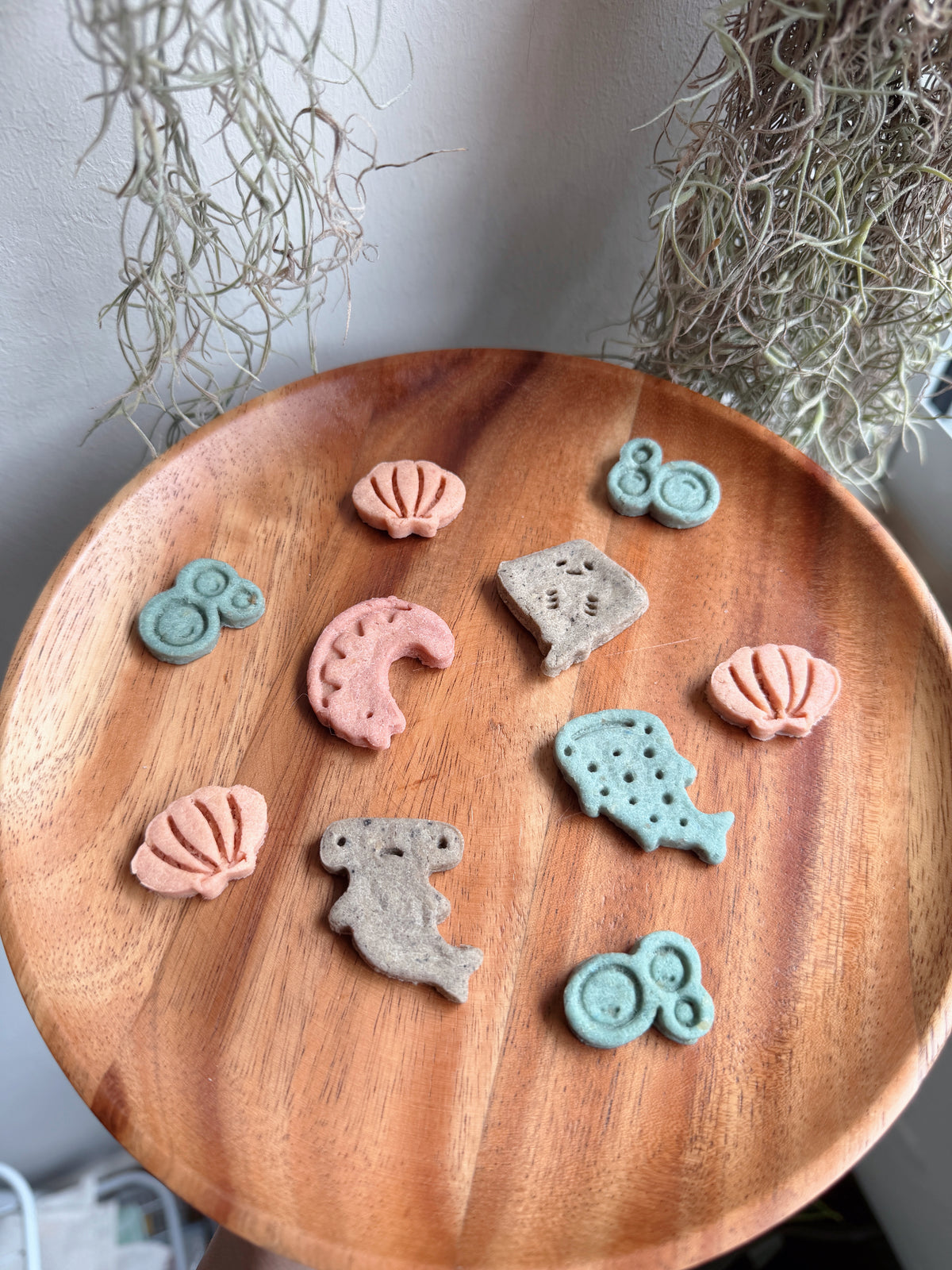 Bokki's Little Beach Adventure 🌊🐾– Collection 01: SEA YOU SOON
