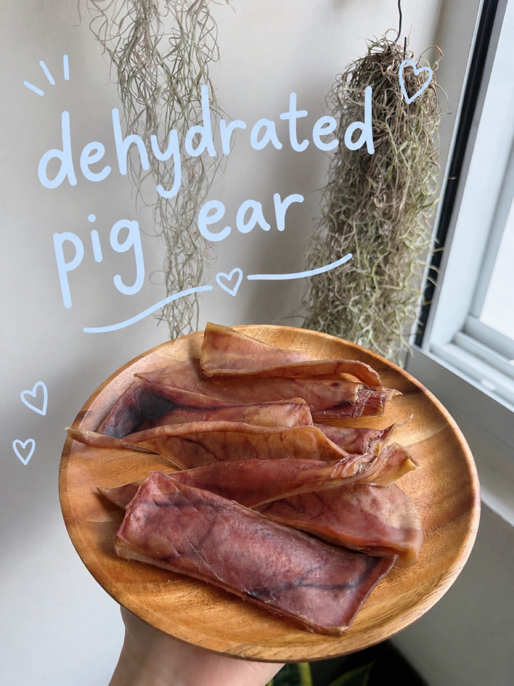 Dehydrated Pig Ear